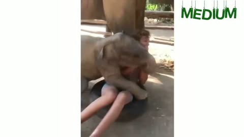 Try not to laugh challenge