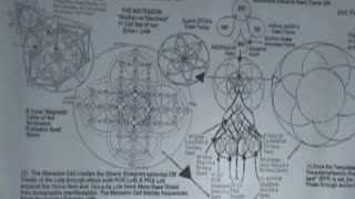 Zendragon Awakening 5