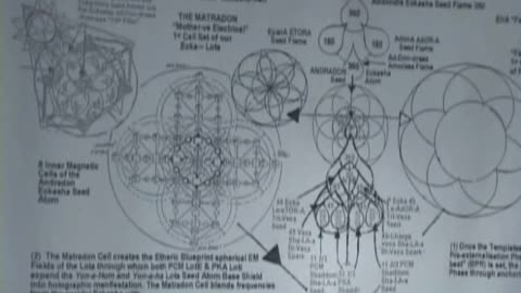 Zendragon Awakening 5