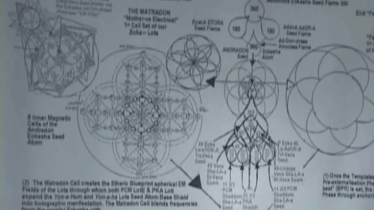 Zendragon Awakening 5