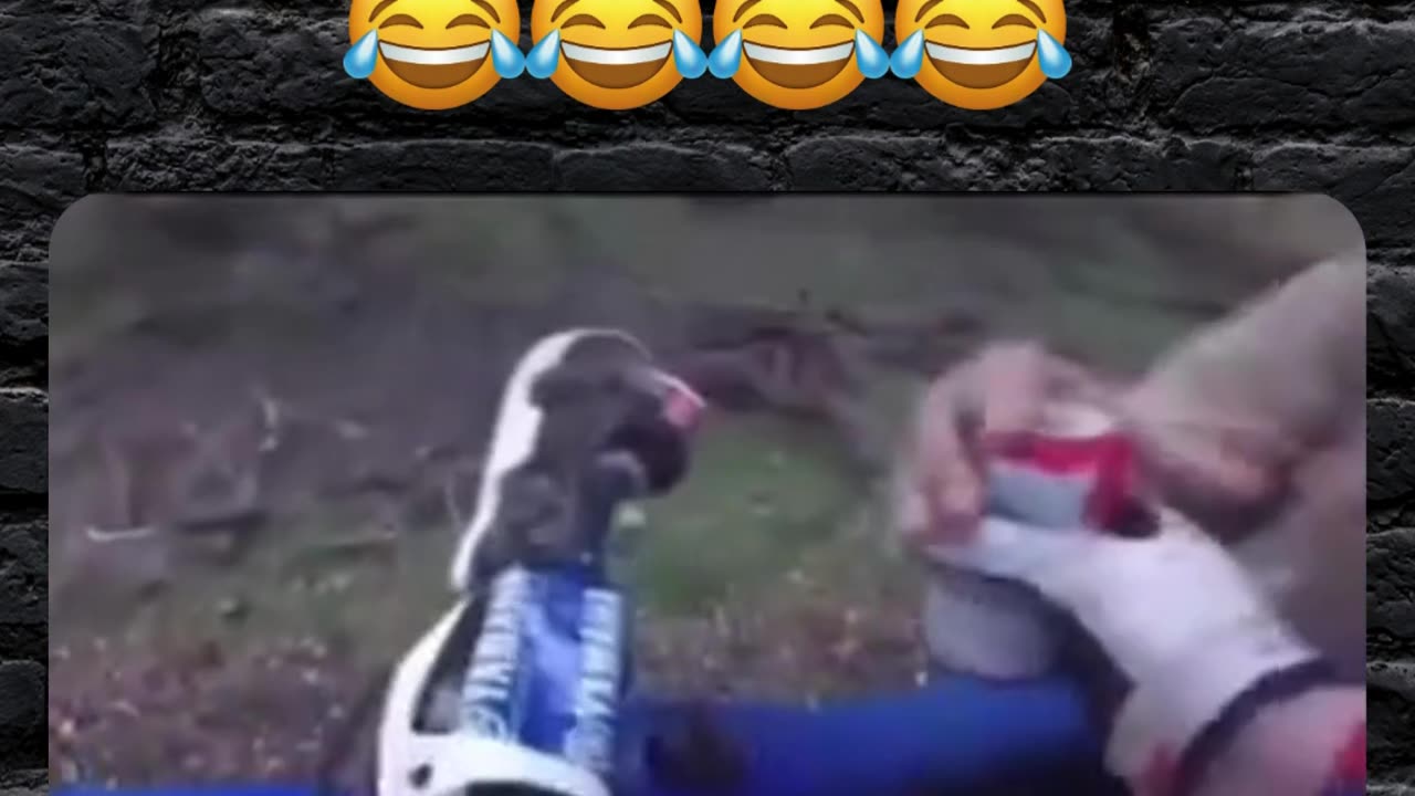 The man has done this a thousand times...
