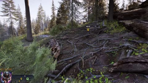 The hunter call of the wild New Map with beavers