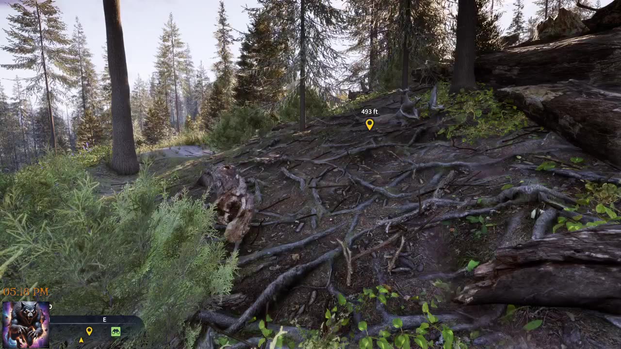 The hunter call of the wild New Map with beavers