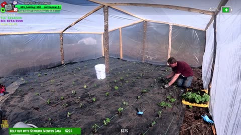 Day 343 Building Twitch's BIGGEST GARDEN HOMESTEAD/ FARMSTEAD REMOTE Isolated ALASKAN Village | !Real !Homestead
