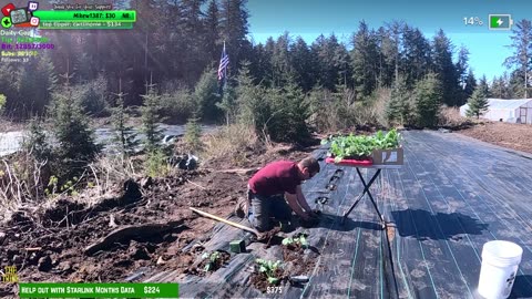 Day 343 Building Twitch's BIGGEST GARDEN HOMESTEAD/ FARMSTEAD REMOTE Isolated ALASKAN Village | !Real !Homestead