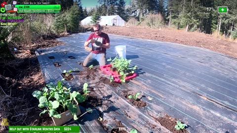 Day 343 Building Twitch's BIGGEST GARDEN HOMESTEAD/ FARMSTEAD REMOTE Isolated ALASKAN Village | !Real !Homestead