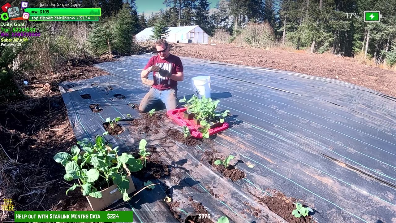 Day 343 Building Twitch's BIGGEST GARDEN HOMESTEAD/ FARMSTEAD REMOTE Isolated ALASKAN Village | !Real !Homestead