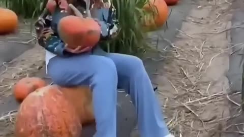 Chasing moments 😂