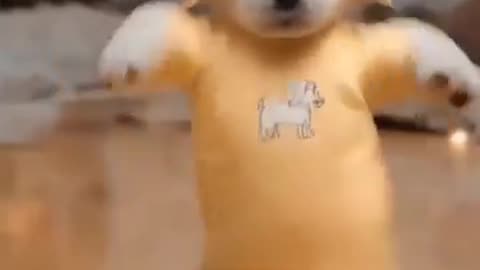 Dancing_Puppy_Deli_🐶😂_Cute_Dog_Shows_Off_Dance_Moves