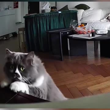 What the... 😳🤣