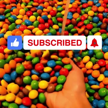 One Food Dispenser Which Do You Choose? #food #viral #ai