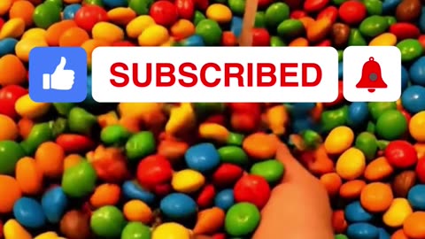 One Food Dispenser Which Do You Choose? #food #viral #ai