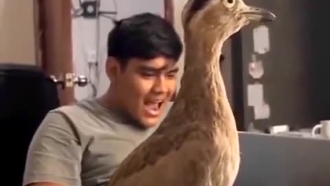ANIMALS THAT DON’T SOUND LIKE THEY LOOK!