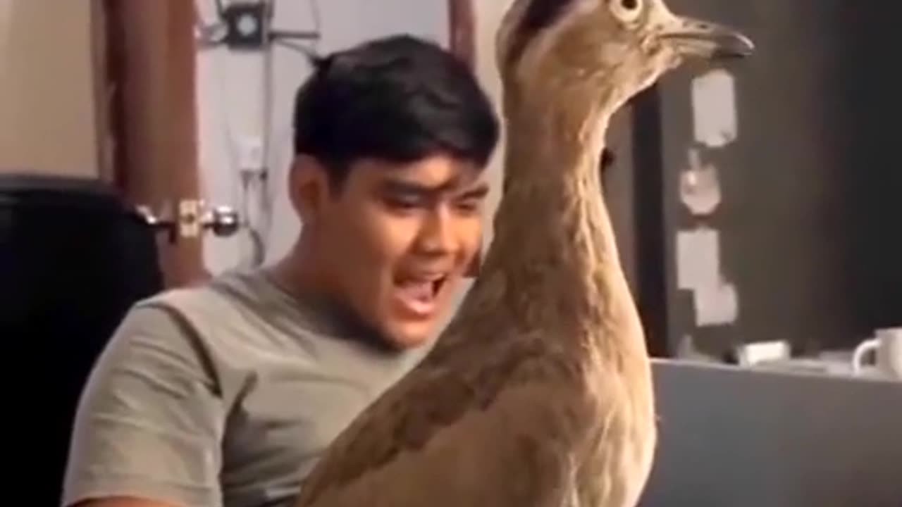 ANIMALS THAT DON’T SOUND LIKE THEY LOOK!