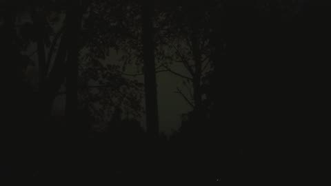 One Hour Relaxing night rain/Wind /White noise /Thunder for Sleep, Study, Relax