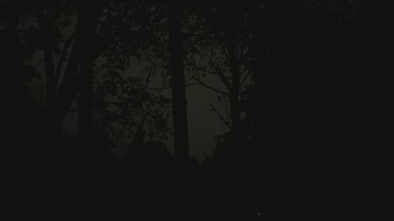One Hour Relaxing night rain/Wind /White noise /Thunder for Sleep, Study, Relax