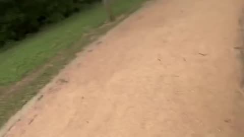 Dam racist skweral done attacked Moeesha Sheeeit!