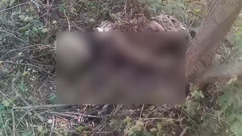 💀🇷🇺 Ukraine Russia War | Russian Soldiers Discover Skeletal Remains of Moldovan Fighter | RCF