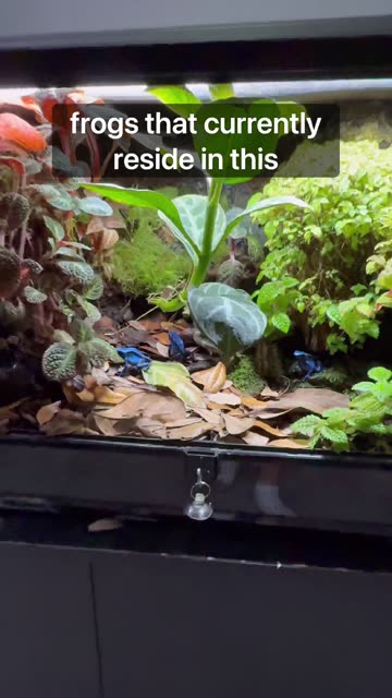 4 Weeks Since I Added Life!