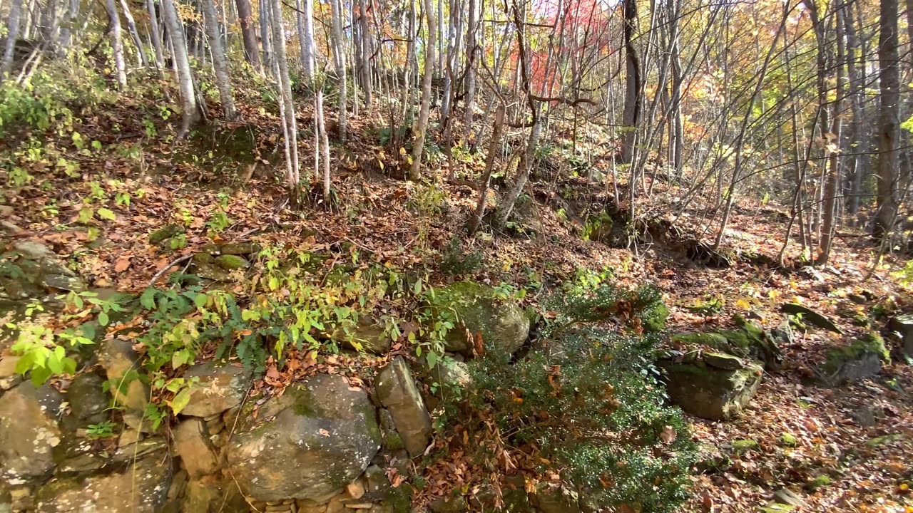 NW NC at The Treehouse 🌳 Good day for burning leaves, no wind. We have a long way to go