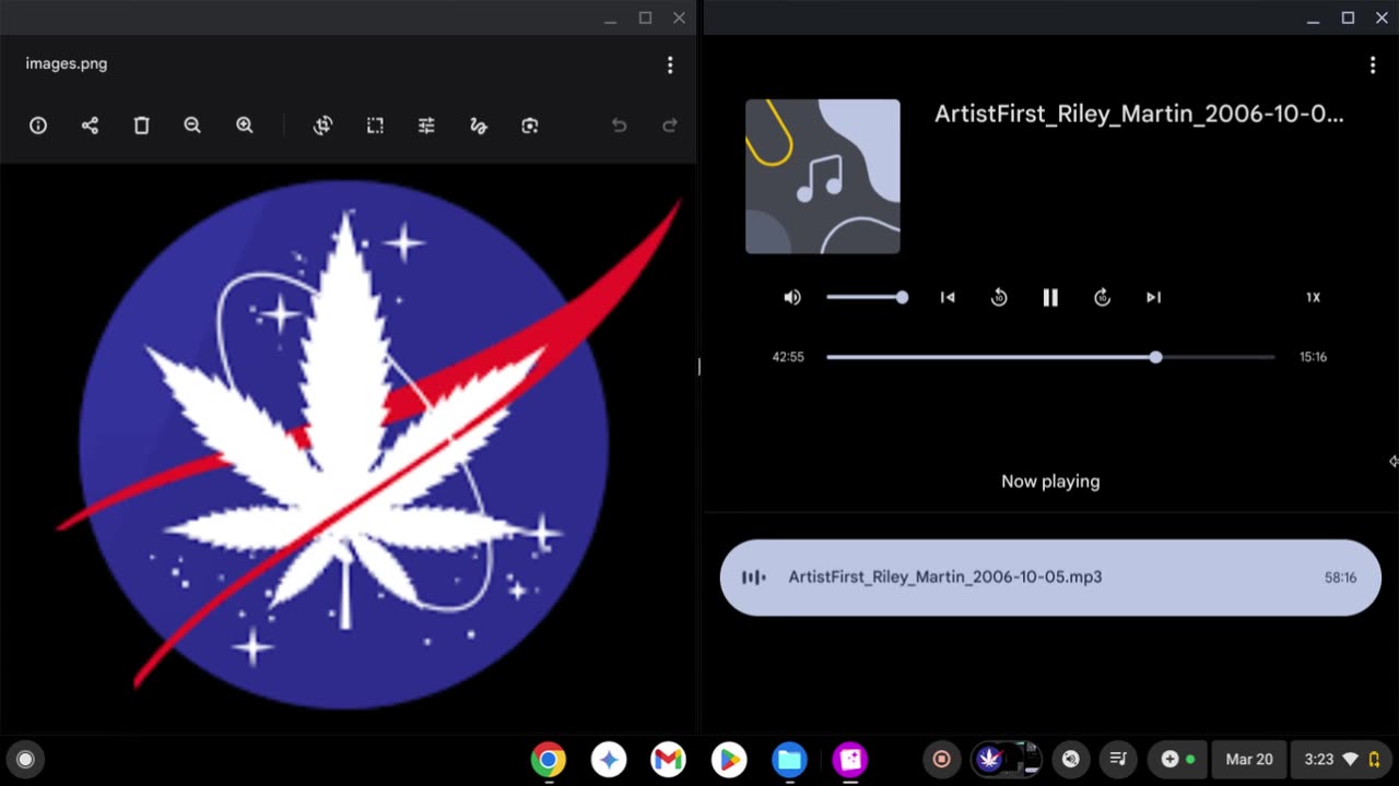 RILEY MARTIN TALKING ABOUT SPACE WEED