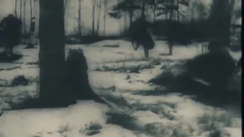 When Nashorns Hunted T-34s Panzer Ace Albert Ernst's Unforgettable Feat at Vitebsk