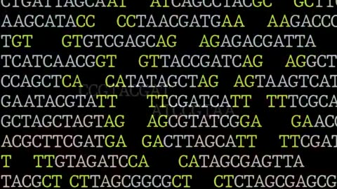 Terrain The Film - Part 1 - Knowing The Truth (2022)