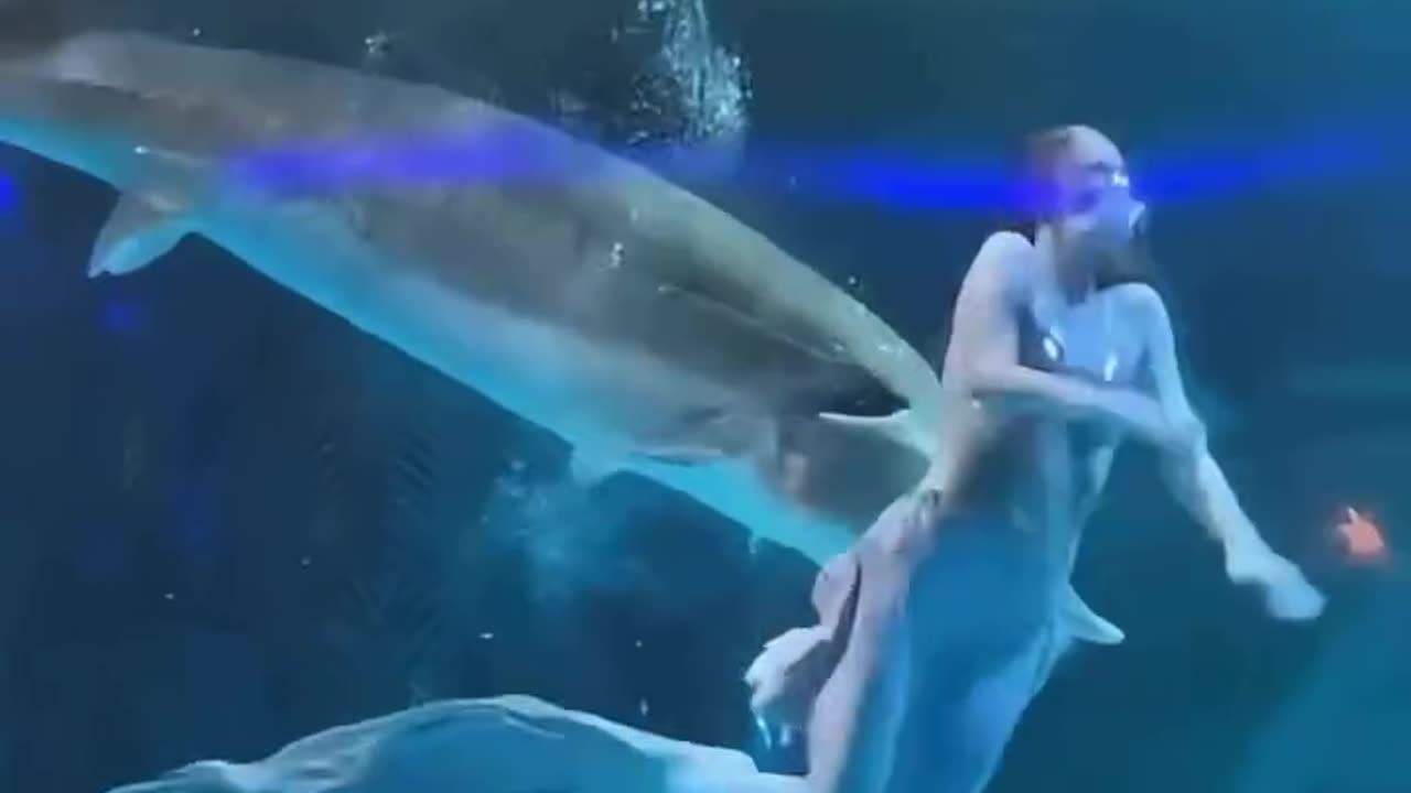 Mermaid Swallowed by a fish๐๐งโโ๏ธ