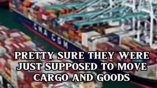 Port Worker made a video and posted it on X: