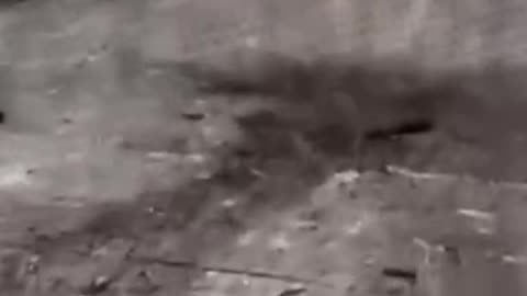 Family of Three is Killed When Russian Drone Slams into Vehicle Near Odessa