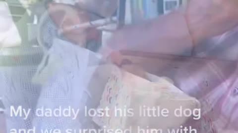 Puppy surprise for dad#dog