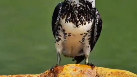The beautiful of nature