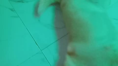 Chiku ka dance