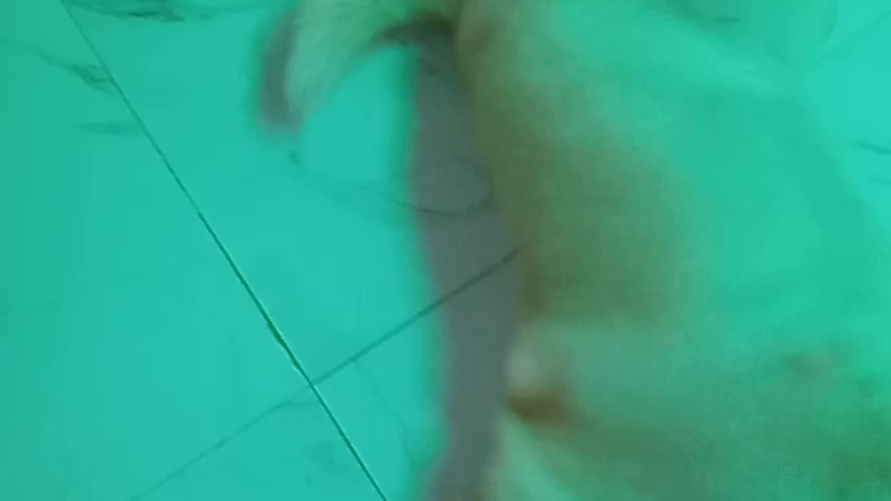 Chiku ka dance