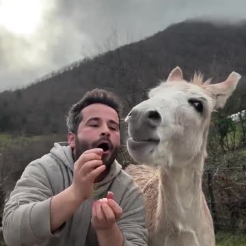 How to brighten your day? Share a bite!
