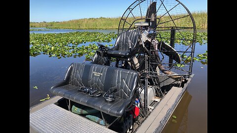 Something I really miss about Growing Up in Florida