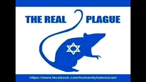 SYNAGOGUE OF SATAN'S LAST STAND ✡️