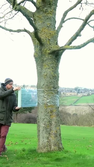 Love All Life Always #440 - Humans Constantly Create Really Unique Art...Impressive ✨️