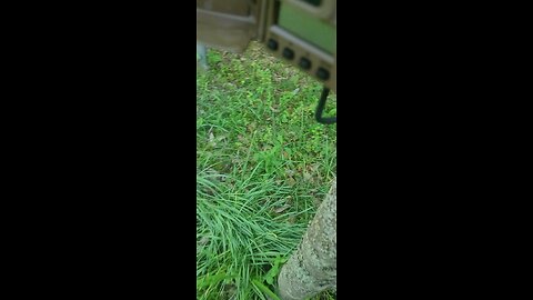 Water inside trailcam