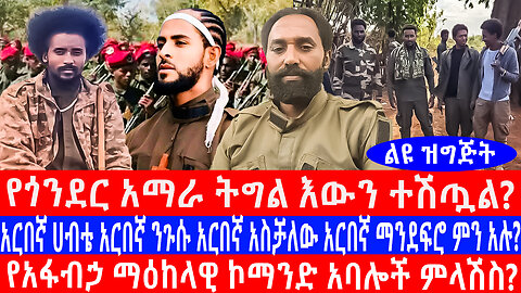 የጎንደር አማራ ትግል እውን ተሽጧል?የአፋብኃ ማዕከላዊ ኮማንድ አባሎች ምላሽስ?