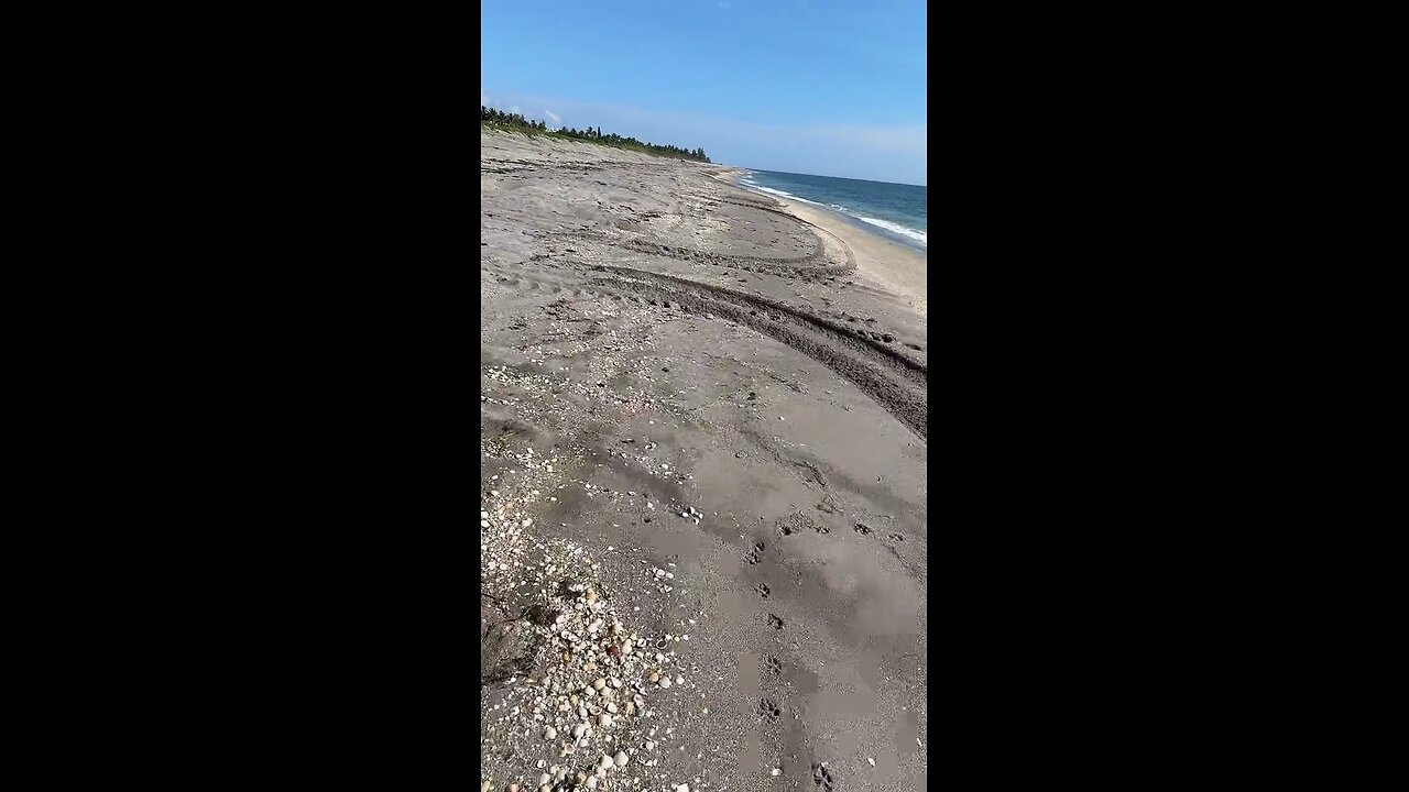 Livestream Replay | Blowing Rocks Day 2!