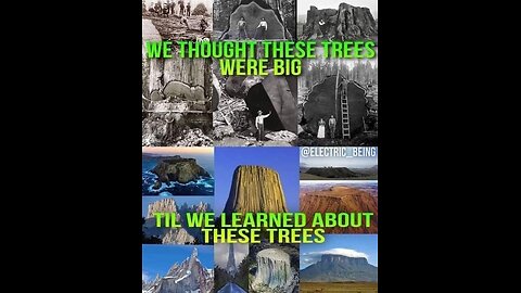 Discover the Hidden History: A Conscious HipHop Journey About Our Lost Ancient Giant Trees!
