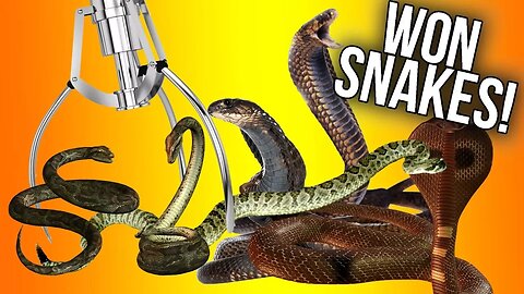 WON SNAKES FROM THE CLAW MACHINE?!