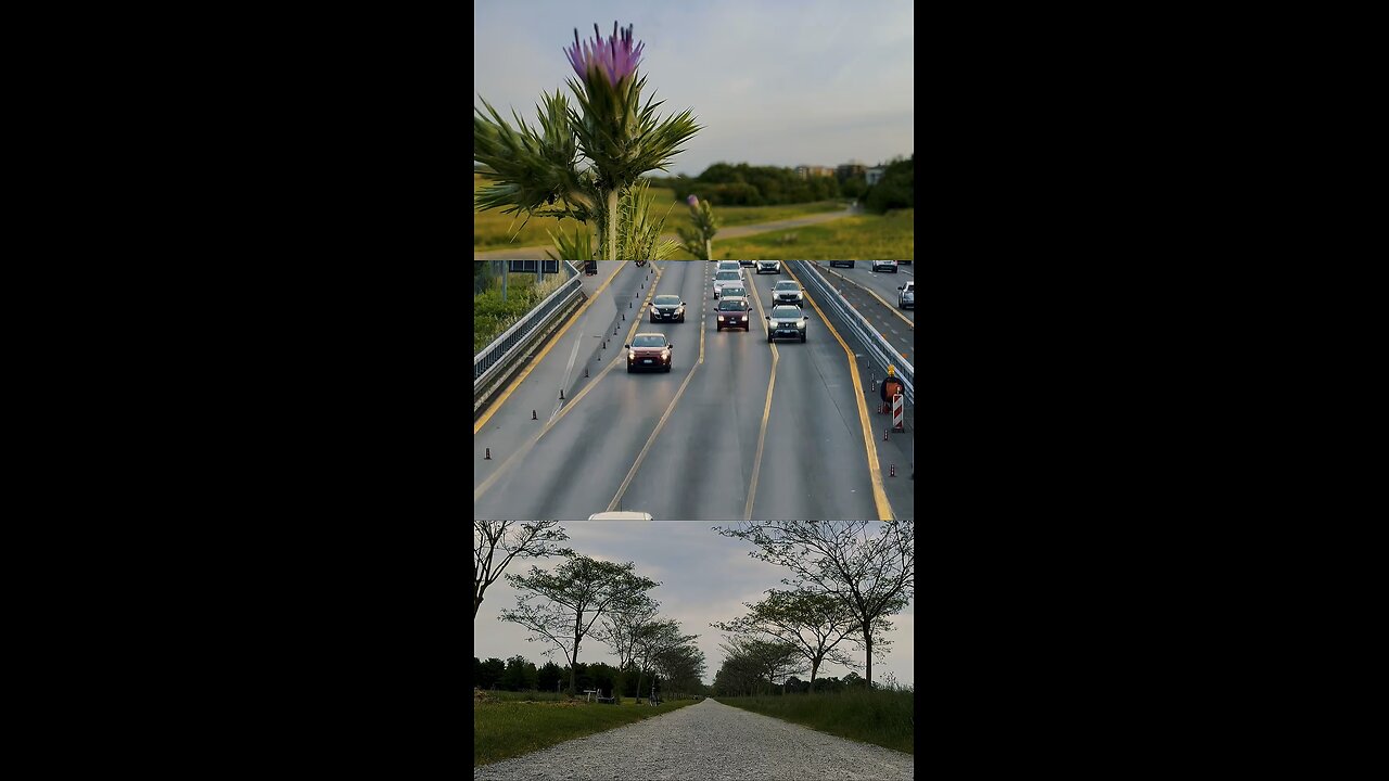 Scenery Of One day..