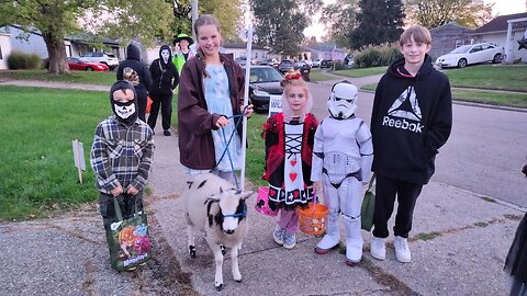 The Buskman Report 10/31/2025: HAPPY REFORMATION DAY!