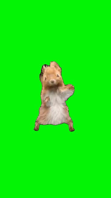 Wobbly Wiggly Squirrel | Green Screen #wobblywiggly #travisscott #glorilla