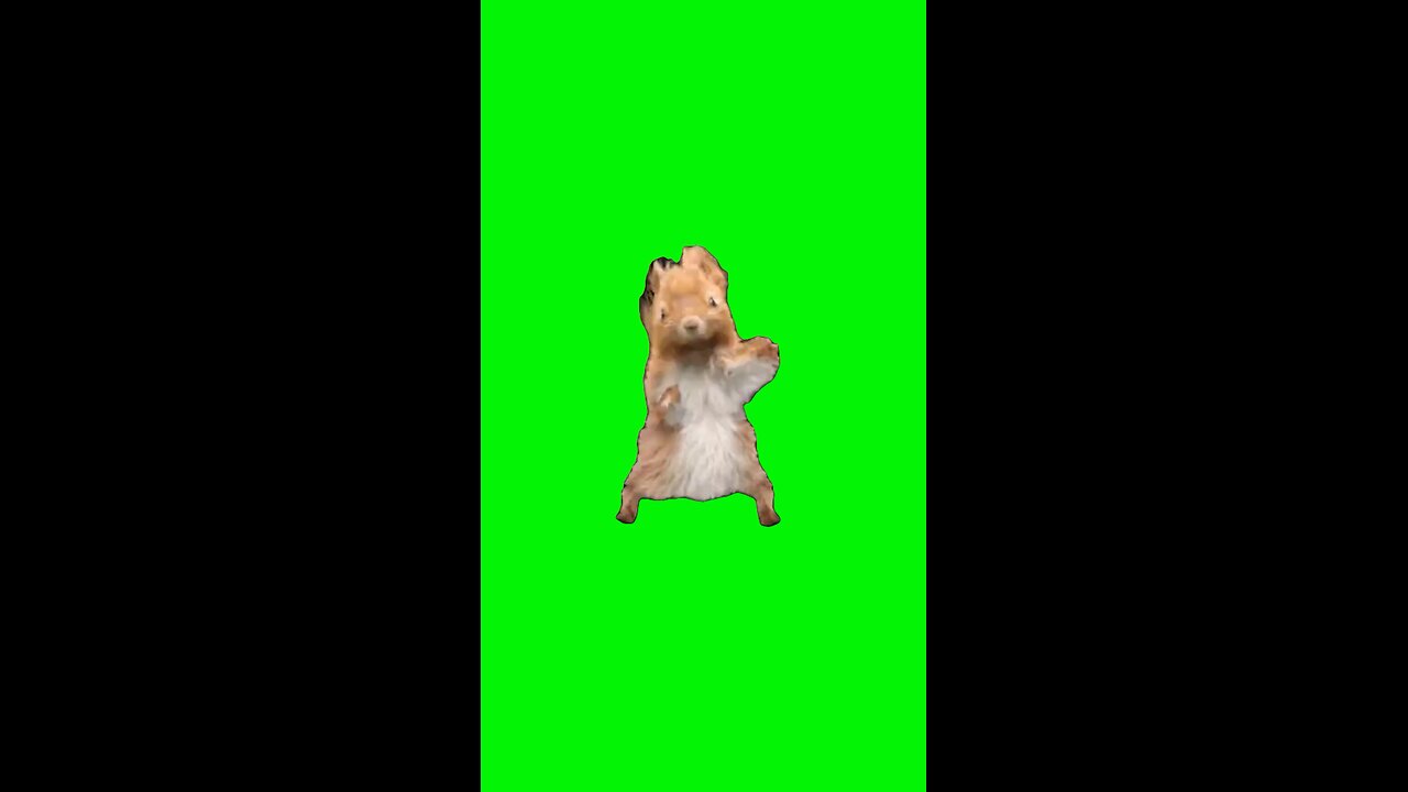 Wobbly Wiggly Squirrel | Green Screen #wobblywiggly #travisscott #glorilla