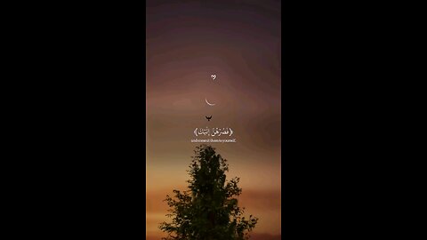 Beautiful Quran Recitation – Listen and Relax 😴💜