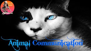 Animal Communication | Interview with Penelope Smith | Stories of the Supernatural