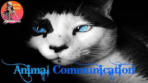 Animal Communication | Interview with Penelope Smith | Stories of the Supernatural